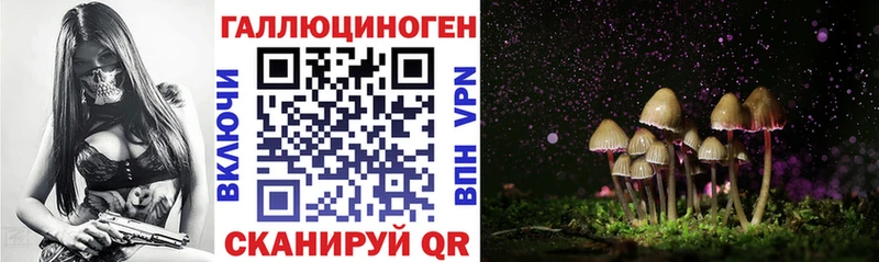 Псилоцибиновые грибы Cubensis  Вуктыл 